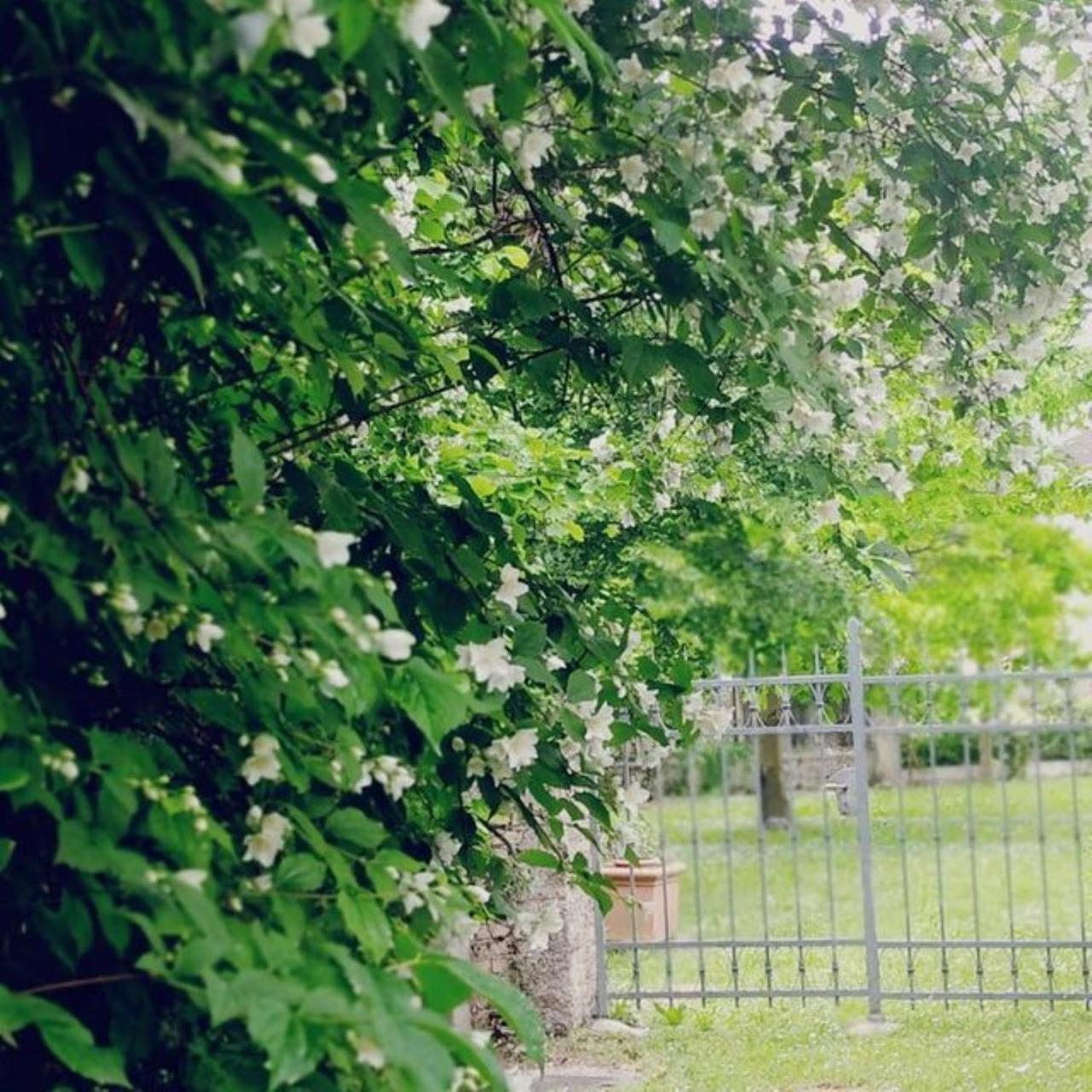 B&B Ernestine Family Home Caneva ภายนอก รูปภาพ