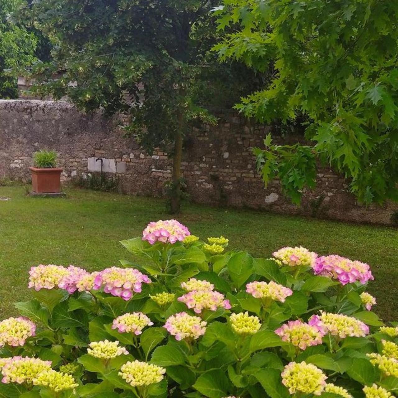 B&B Ernestine Family Home Caneva ภายนอก รูปภาพ
